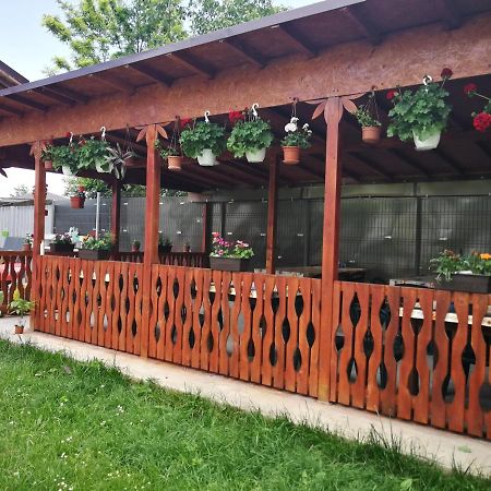 Vila Baciu Hotel Tuzla Luaran gambar