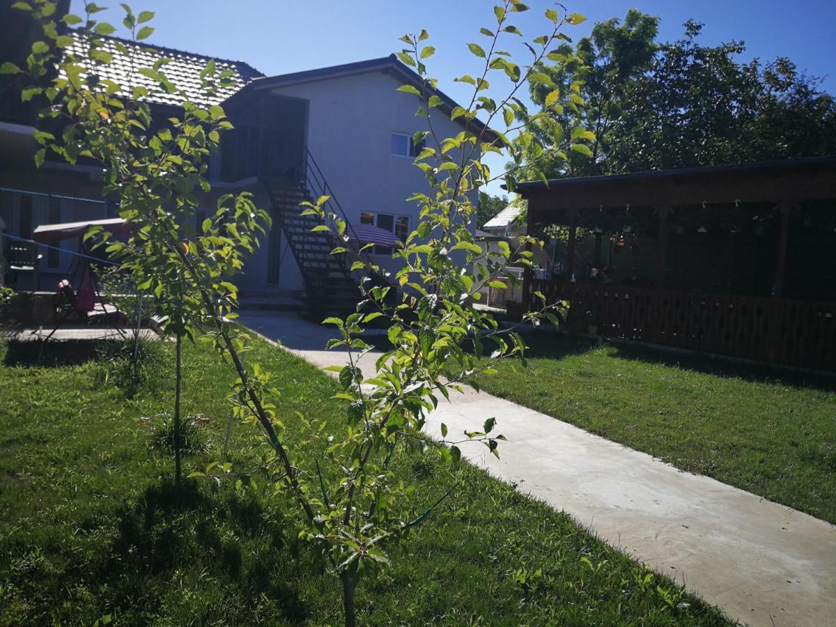 Vila Baciu Hotel Tuzla Luaran gambar