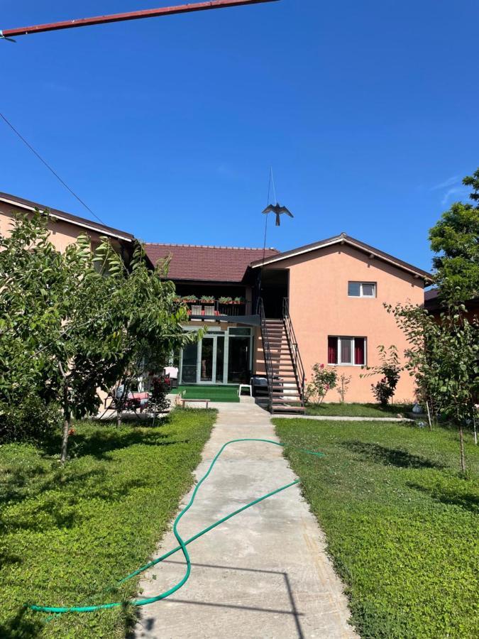 Vila Baciu Hotel Tuzla Luaran gambar